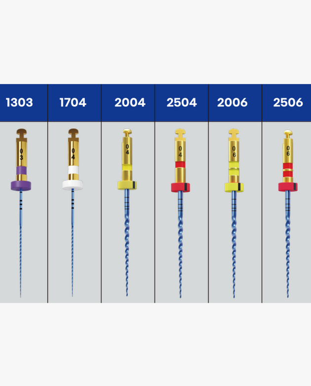 Assorted Kit Torque Endo Flex File Blue